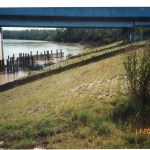 TXDOT Brazos River @ US 59-Rosenberg